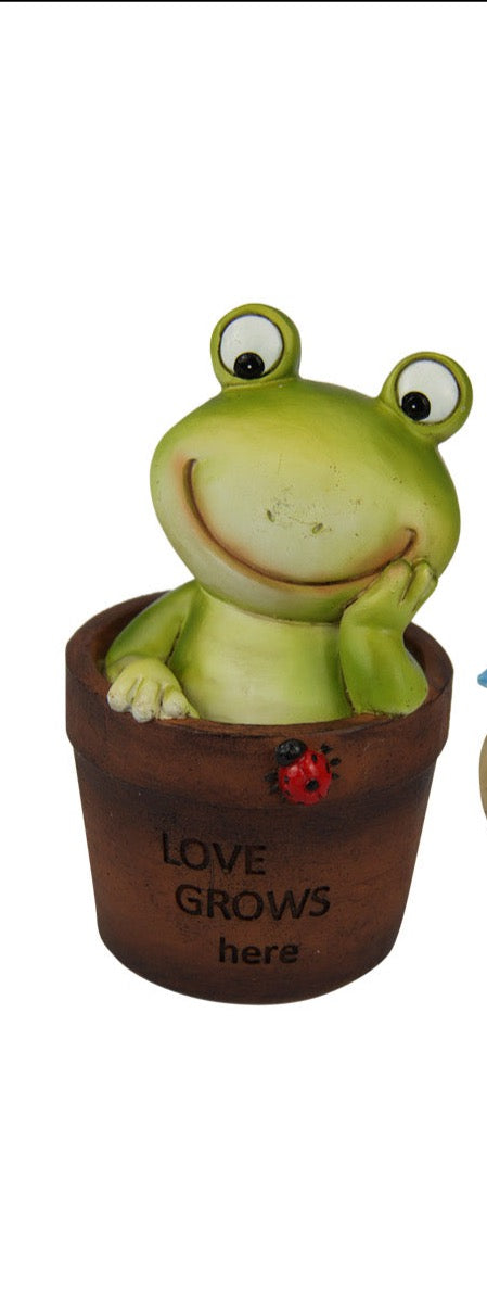Frog In a Pot