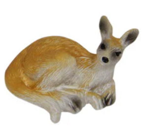 *Mini Kangaroo