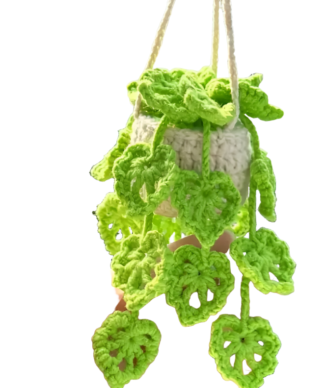 Crochet Hanging Car Plant