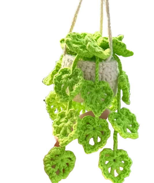 Crochet Hanging Car Plant