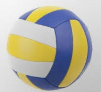 *Miniature Sports Ball