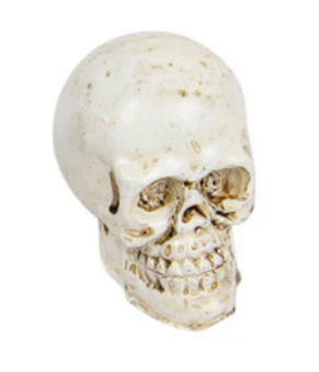 *Miniature Skulls