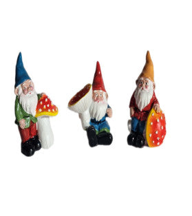 Gnome & Mushroom