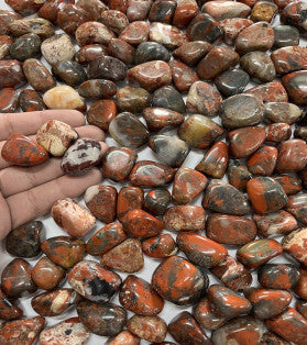 Breccia Jasper Tumbled Gemstones