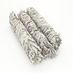 Sage Smudge Stick- XL