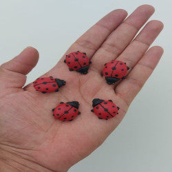 *Miniature Lady Bugs