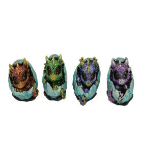 *Baby Dragon Hatchlings