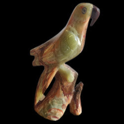 *Onyx Parrot